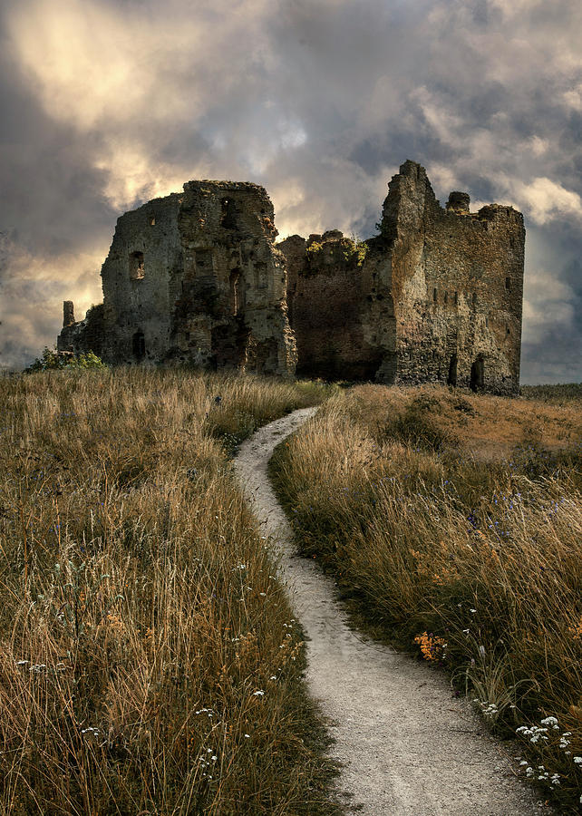 Forgotten Estonian Castle Photograph by Jaroslaw Blaminsky