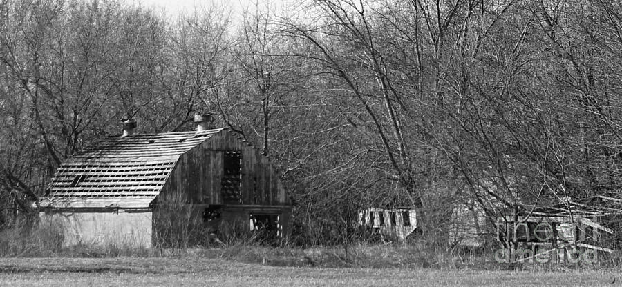Forgotten Farm Photograph