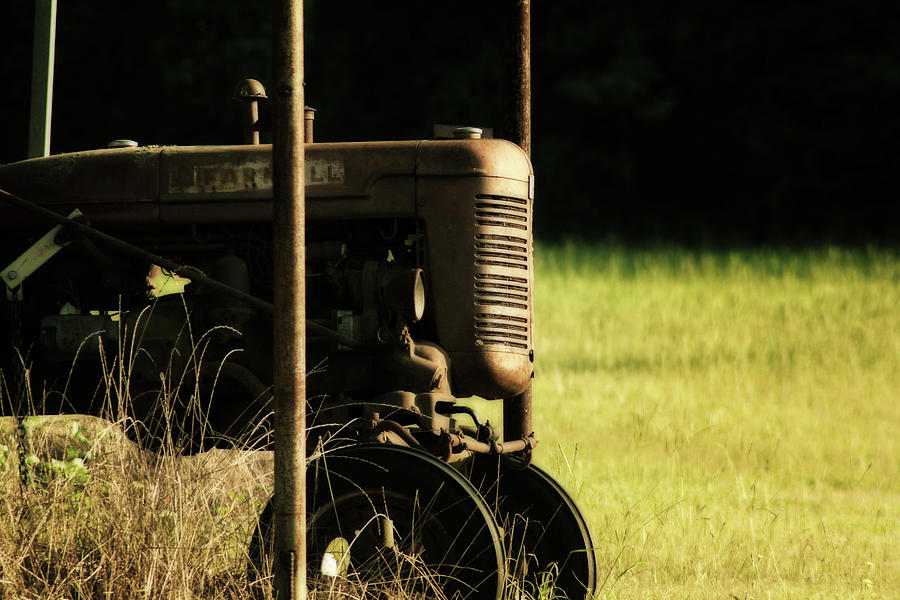 Forgotten Farmall Tractor Photograph by Eugene Campbell