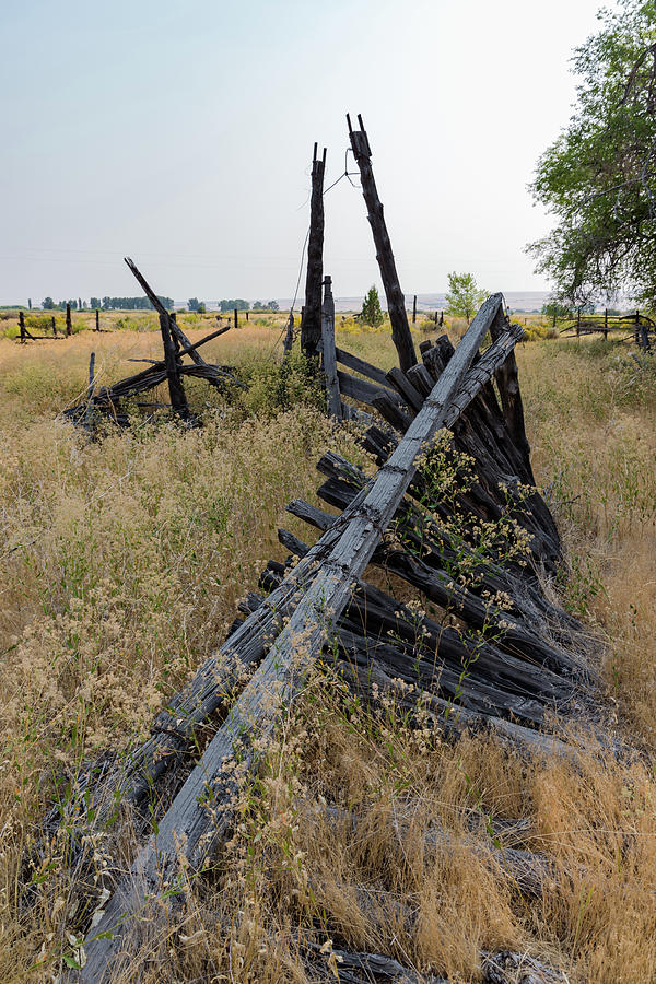 Forgotten Fences Photograph by Steven Clark
