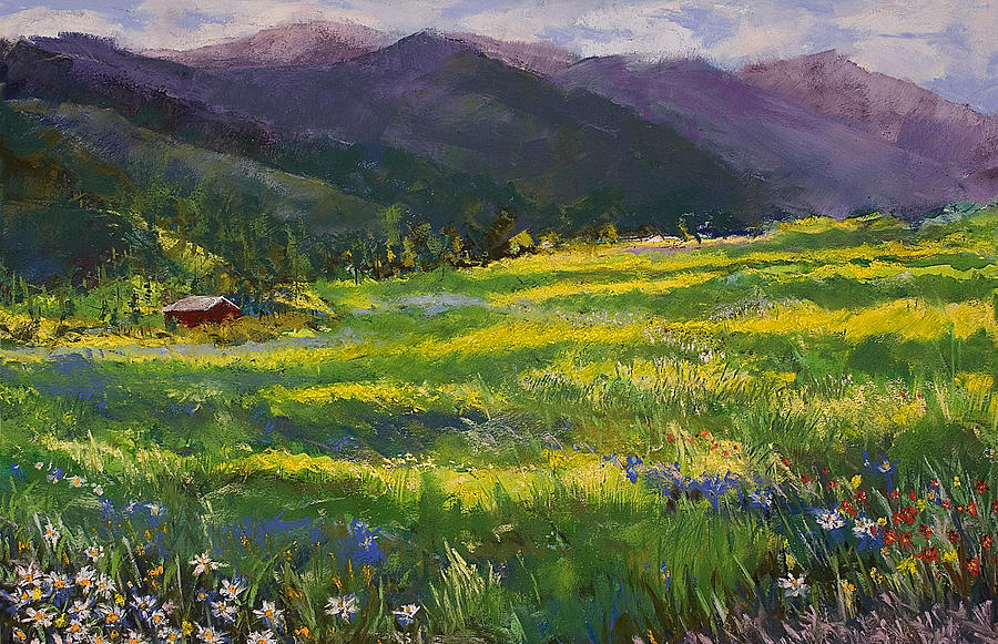 Mountain Pastel - Forgotten Field by David Patterson