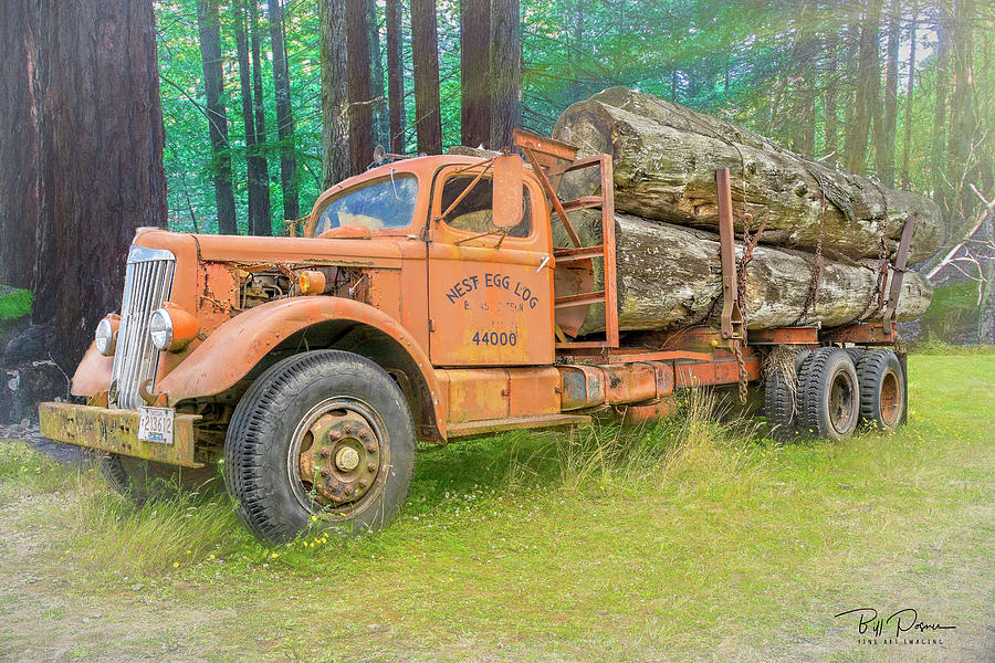 Forgotten Load Photograph by Bill Posner