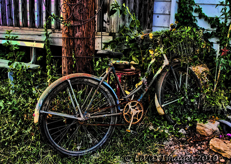 Forgotten Ride Photograph by Kristie Bonnewell - Fine Art America