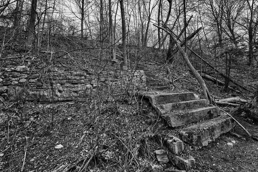 Forgotten Stairs Photograph by CJ Schmit