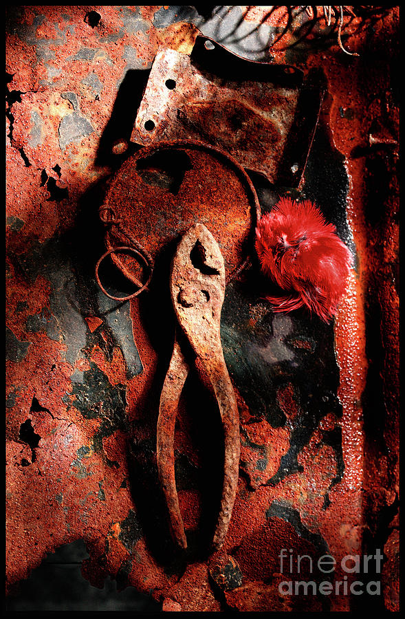 Pliers Photograph - Forgotten Tools by Greg Wright