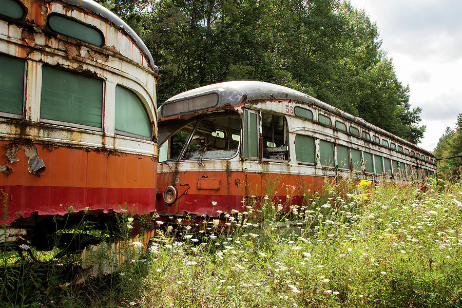 Forgotten Trains Photograph by Marzena Grabczynska Lorenc