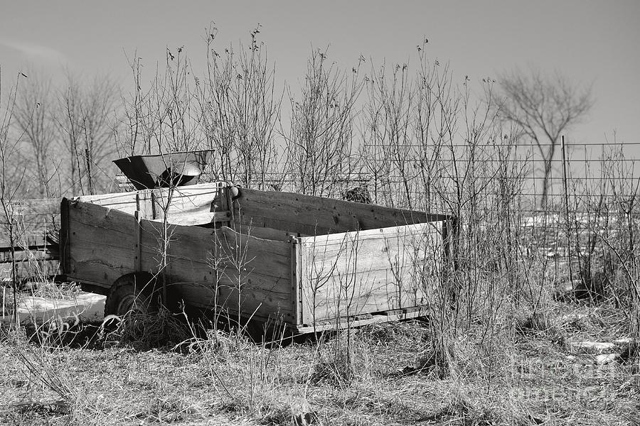 Forgotten Wagon 9607 Photograph by Ken DePue