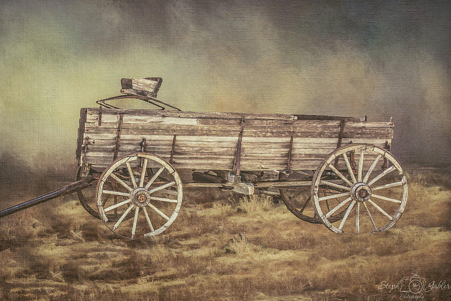 Forgotten Wagon Photograph by Steph Gabler