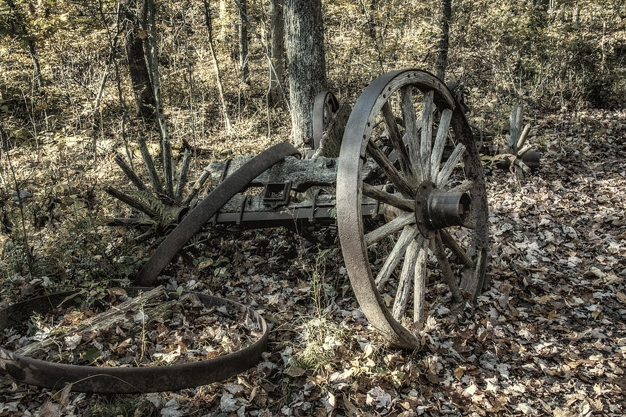 Forgotten Wagon Photograph by Tom Mc Nemar