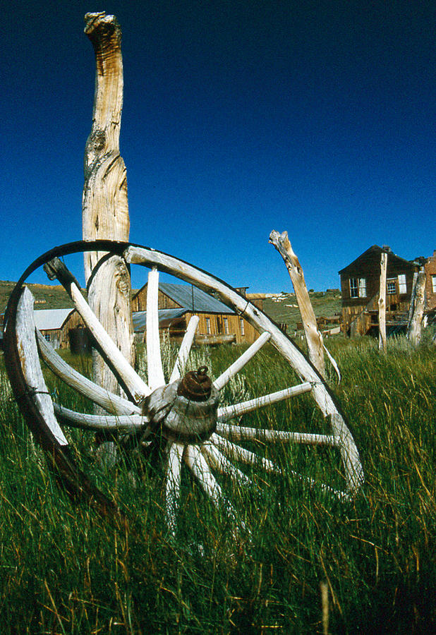 Forgotten Wheel Photograph by Gary Brandes