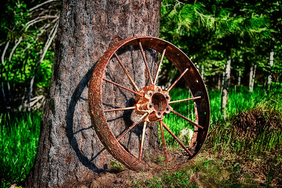 Forgotten Wheel Photograph by Niels Nielsen