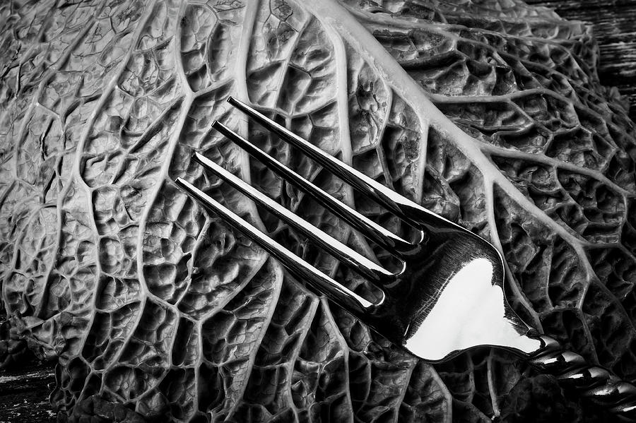 Fork And Cabbage Leaf Photograph by Garry Gay