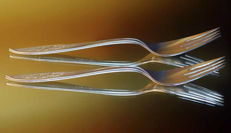 Forks Photograph by Nikolyn McDonald