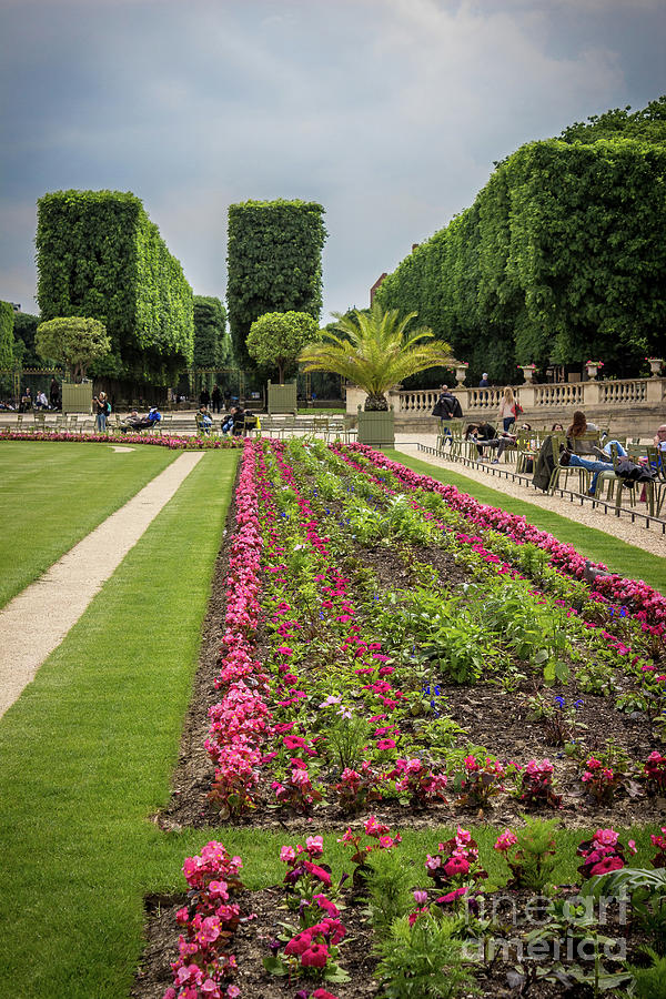 Formal Design At Luxembourg Gardens, Paris Photograph by Liesl Walsh ...