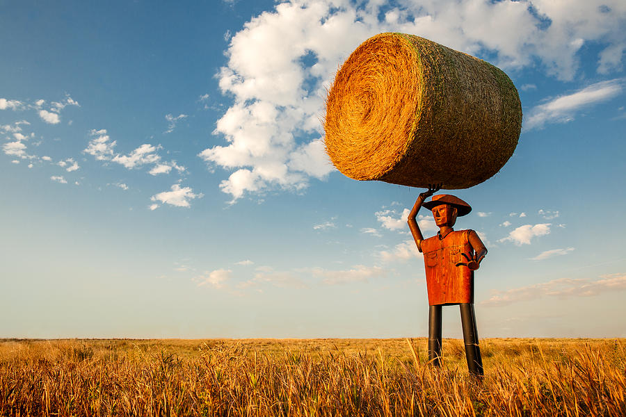 Formidable Farmer Photograph by Todd Klassy