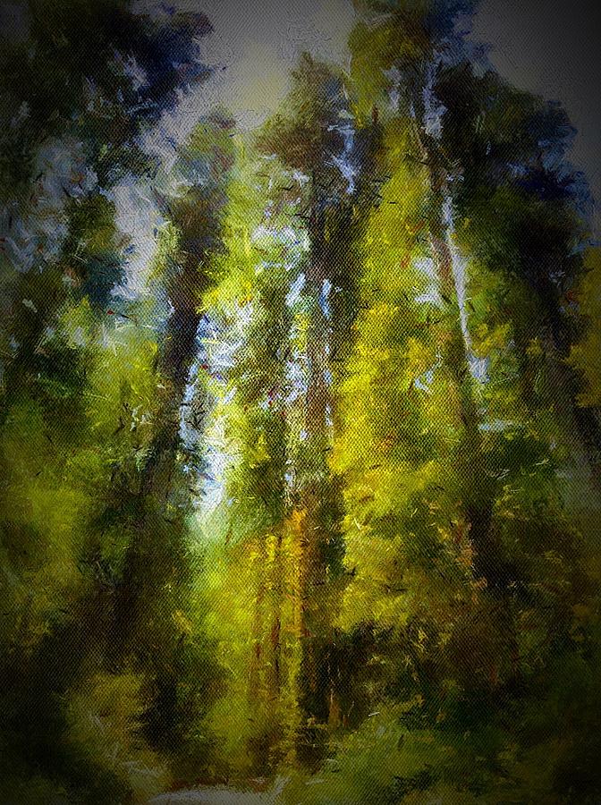 Forest  Giants Digital Art by Anne Sands