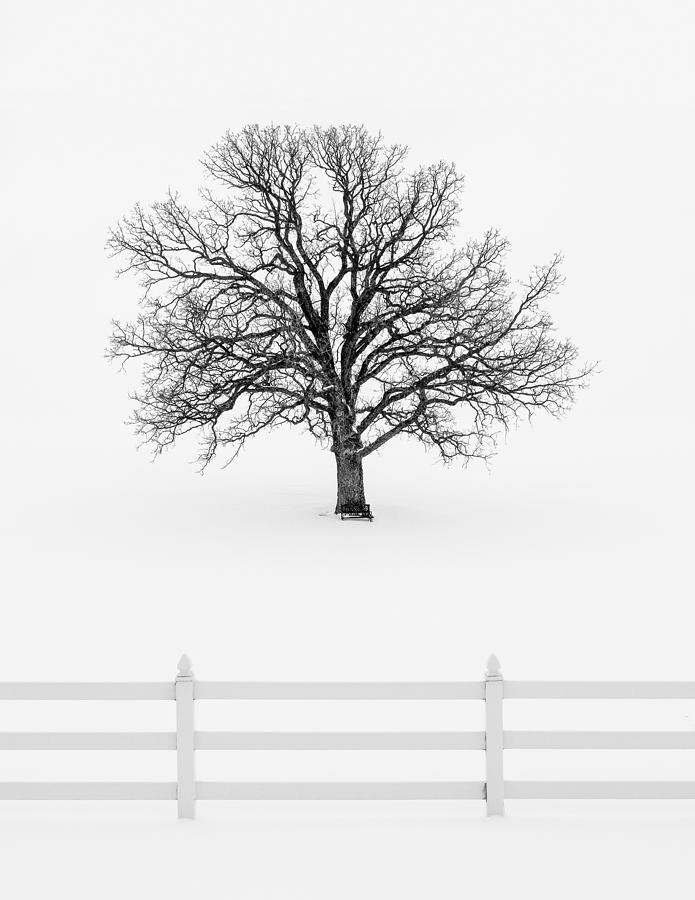 Forsaken Winter Photograph by Todd Klassy