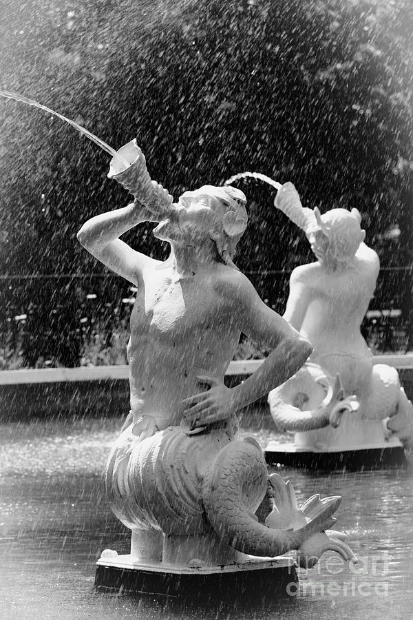 Forsyth Fountain Detail Black and White Photograph by Carol Groenen
