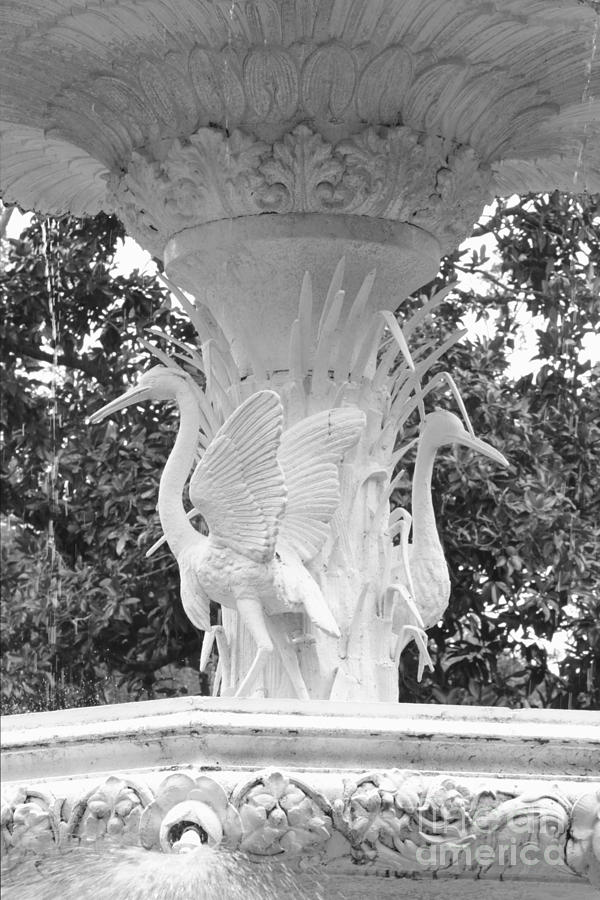 Fountain Photograph - Forsyth Park Fountain - Black and White 4 2X3 by Carol Groenen