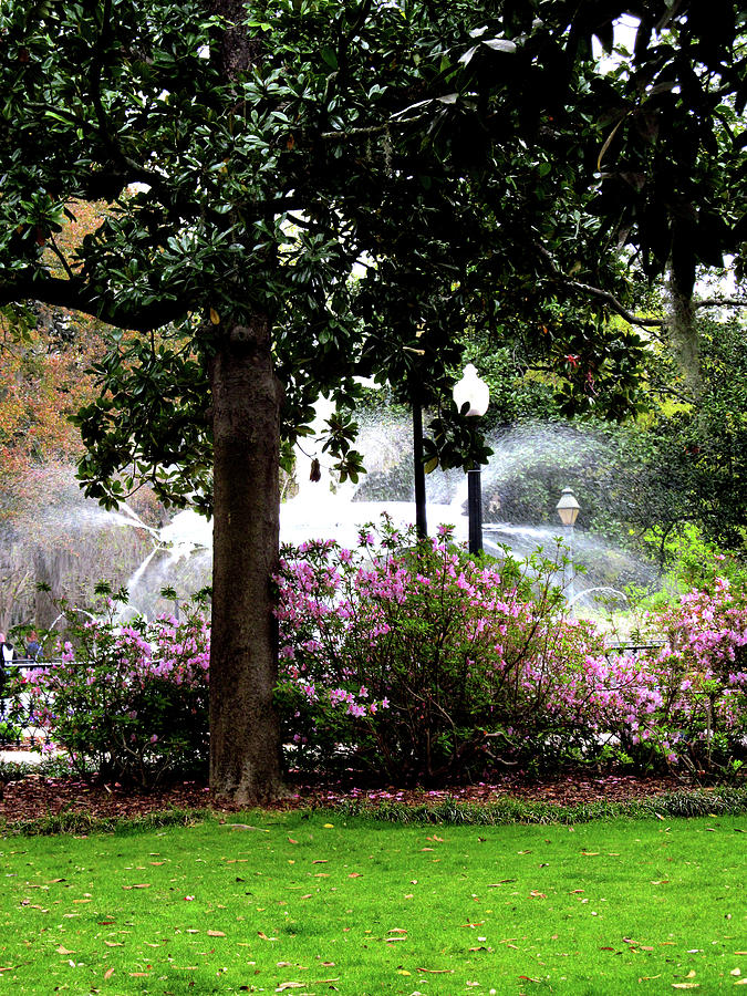Atlanta Digital Art - Forsyth Park Fountain in theh Park by Poster Book Atlanta Digital Art - Forsyth Park Fountain in theh Park by Poster Book