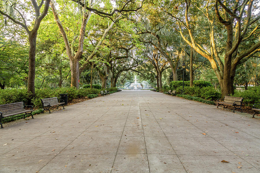 Forsyth Park in Early Morning Light Photograph by Darryl Brooks