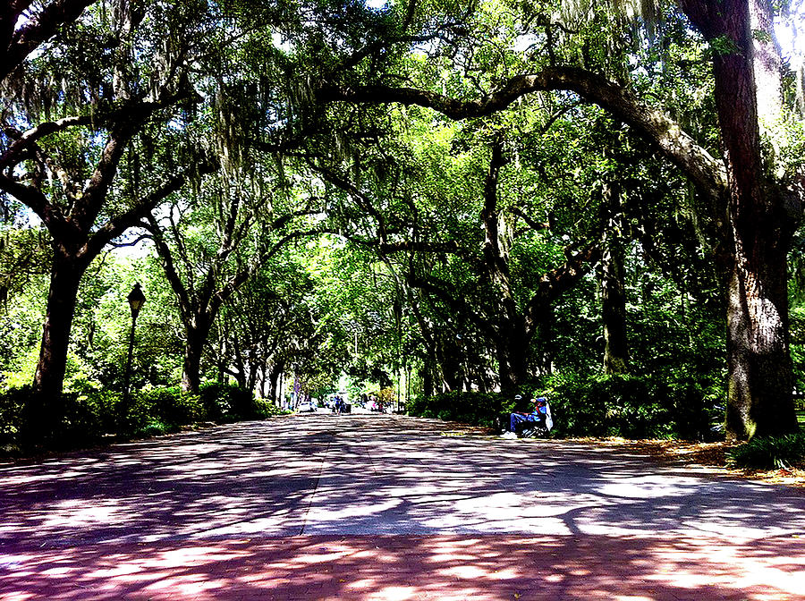 Graphic Design Digital Art - Forsyth Park by Poster Book Graphic Design Digital Art - Forsyth Park by Poster Book