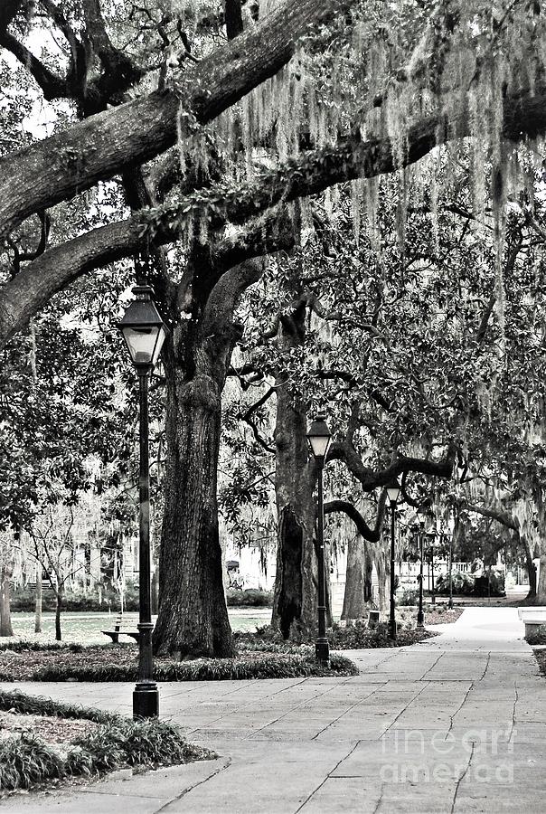 Black And White Photograph - Forsyth Park Savannah, GA by Ashley O