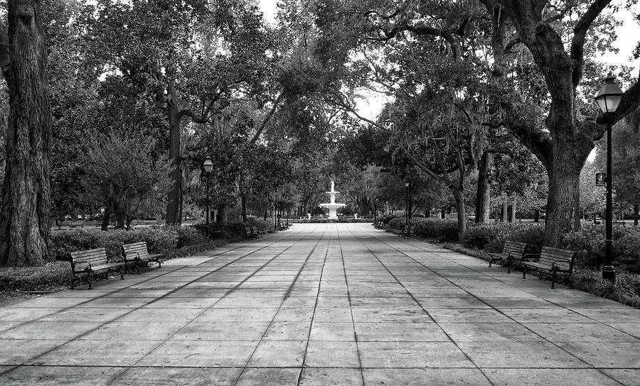 Forsyth Park View Photograph by Dave Mills