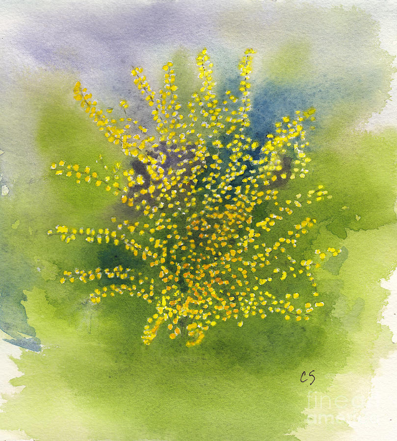Forsythia Painting - Forsythia Study 1 in Watercolor by Conni Schaftenaar