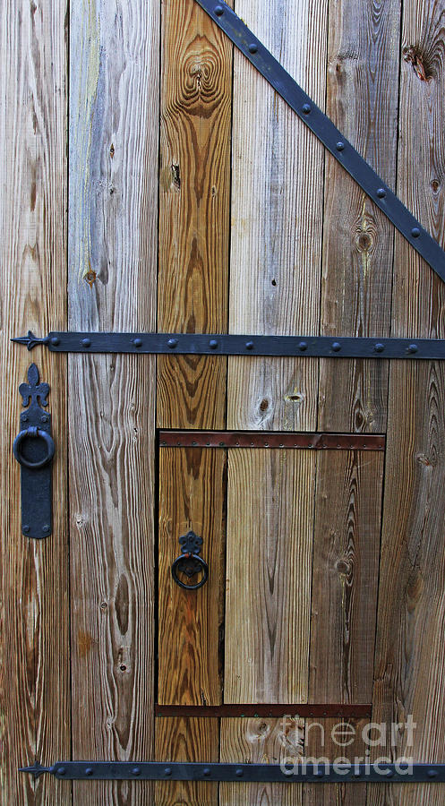 Fort Caroline Door  Photograph by Jennifer Robin