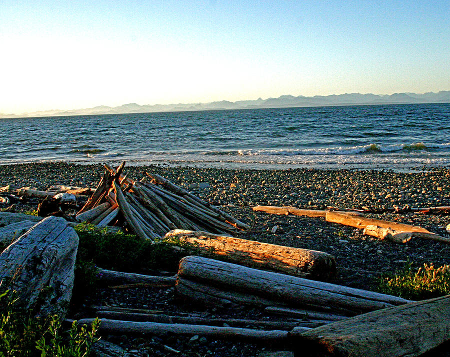 Fort Driftwood - Vancouver Island - BC Photograph by Joseph Coulombe