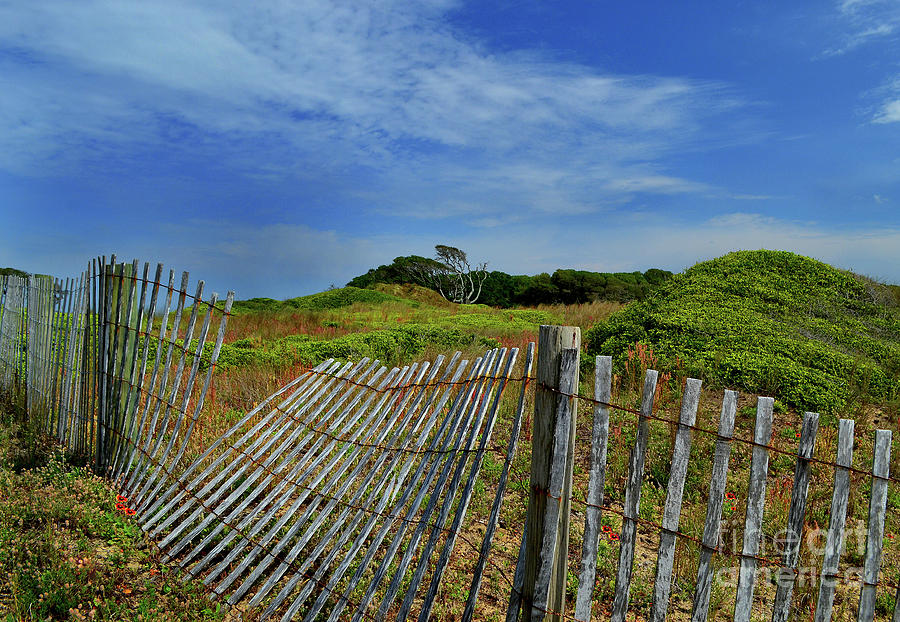 Fort Fisher Fence Photograph by Amy Lucid