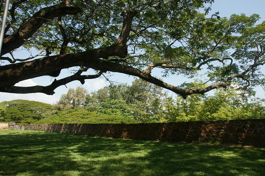 Sri Lanka Photograph - Fort Galle by Olaf Christian Sri Lanka Photograph - Fort Galle by Olaf Christian
