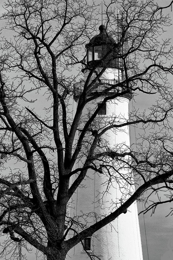Fort Gratiot Light through Winter Tree BW Photograph by Mary Bedy