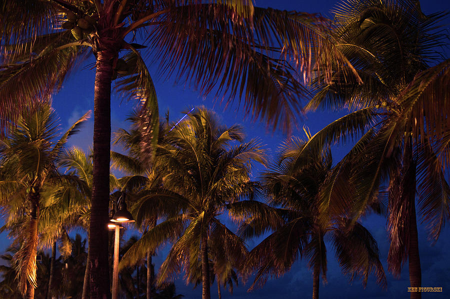 Fort Lauderdale Beach Night Palm Trees 2 Photograph by Ken Figurski