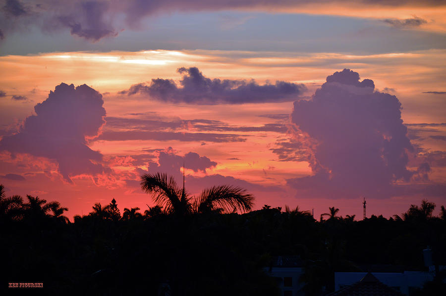 Fort Lauderdale Las Olas Blvd  Sunset Tree Tops Photograph by Ken Figurski