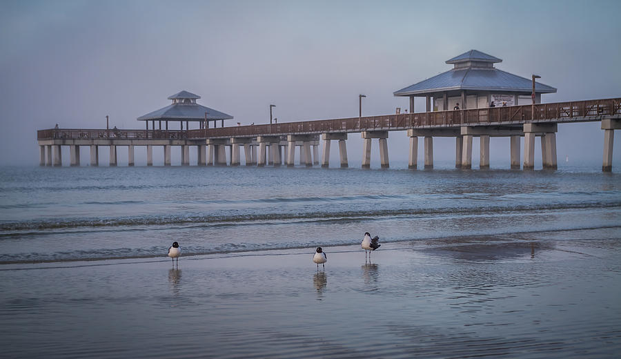 Fort Myers Beach Fishing Pier with Sea Gulls Photograph by Ron Pate