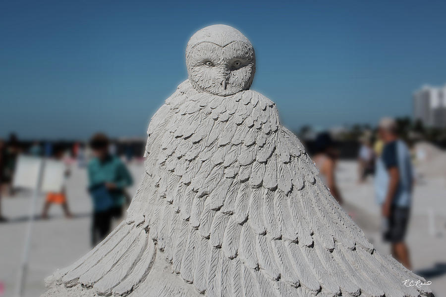 Fort Myers Beach Sand Sculpting - Owl in Drape Photograph by Ronald Reid