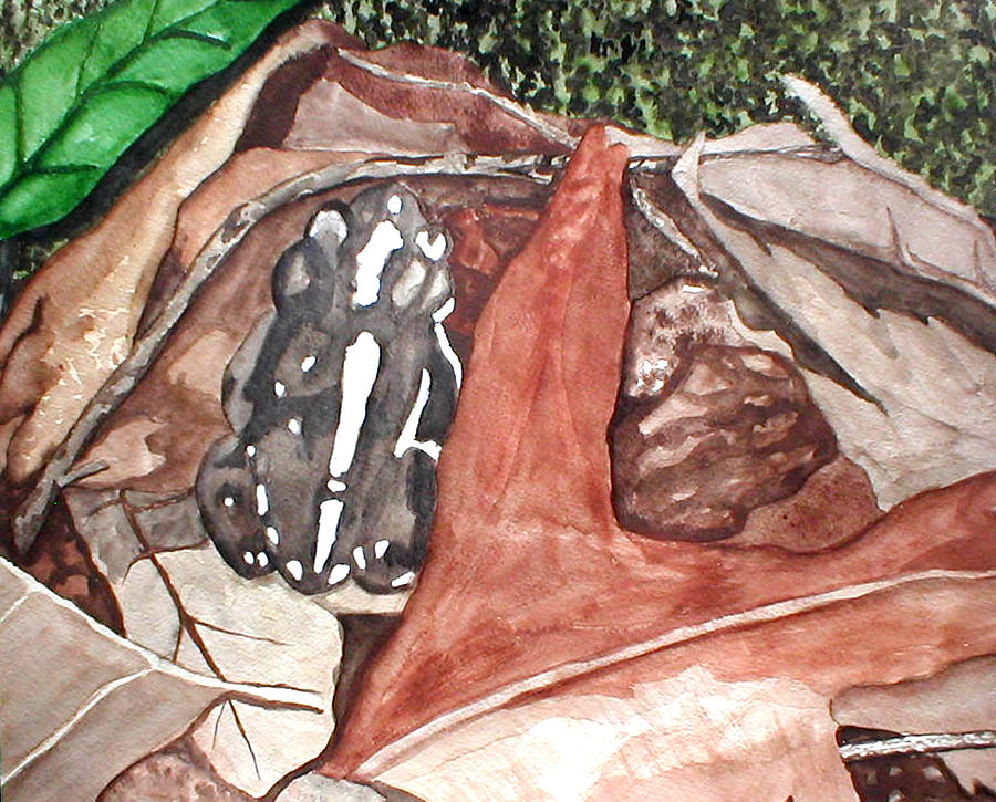 Fort Toulouse Frog in Leaves Painting by Beth Parrish