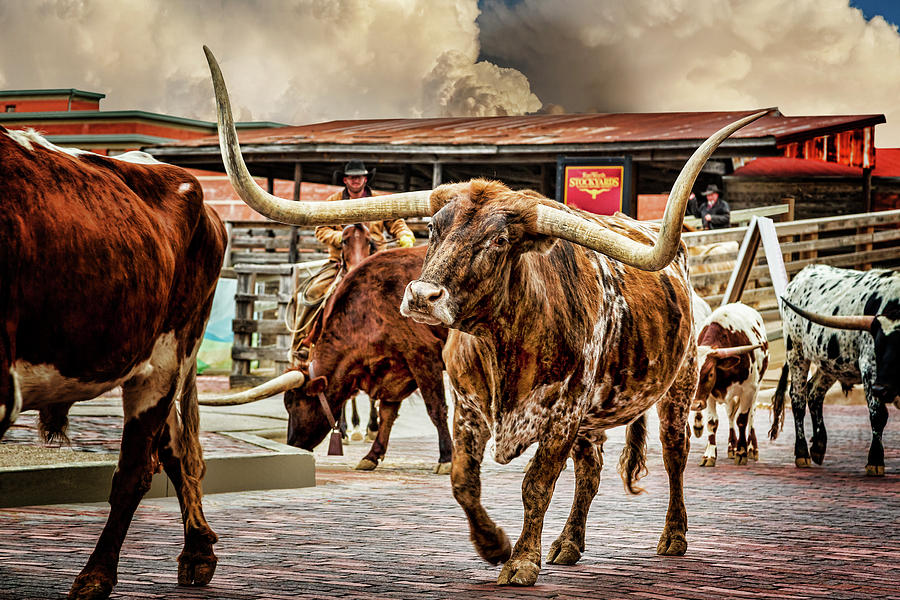 Fort Worth Photograph - Fort Worth Stockyards by Kelley King