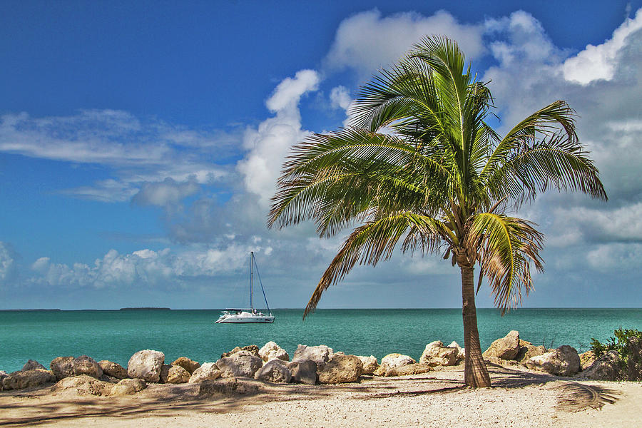 Fort Zachary Taylor State Park - Find Paradise in Key West Florida  Photograph by Bob Slitzan