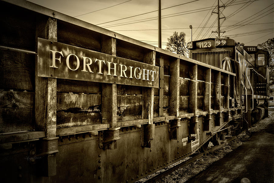 Forthright Photograph by Sharon Popek