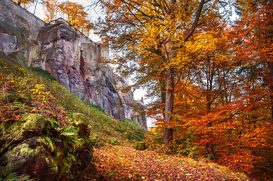 Fortification Koenigstein in Autumn Time Photograph by Jenny Rainbow
