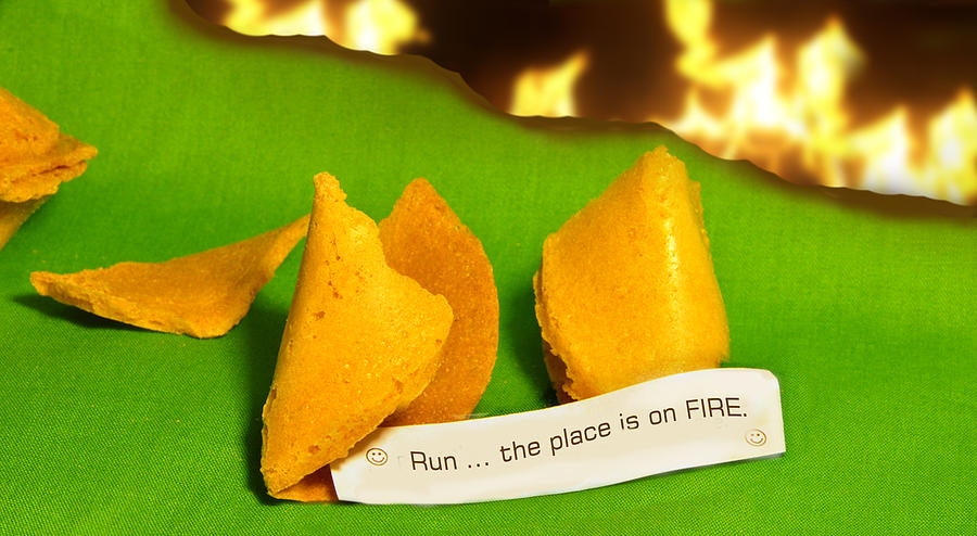 Fortune Cookie Photograph by Larry Mulvehill