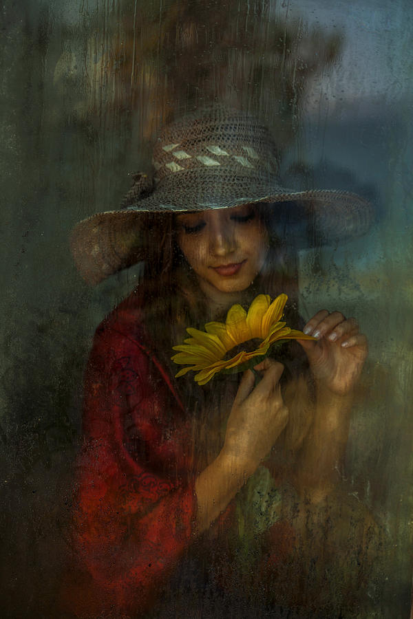 Sunflower Photograph - Fortunes by Ummu  Nisan Kandilcioglu