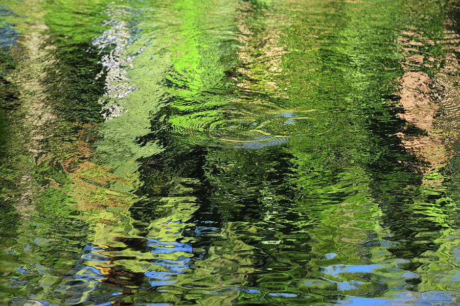 Forty Shades of Green. Water Abstract Photograph by Jenny Rainbow