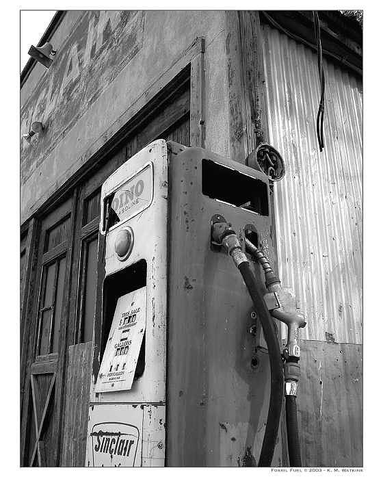 Fossil Photograph - Fossil Fuel by Kate Watkins Fossil Photograph - Fossil Fuel by Kate Watkins