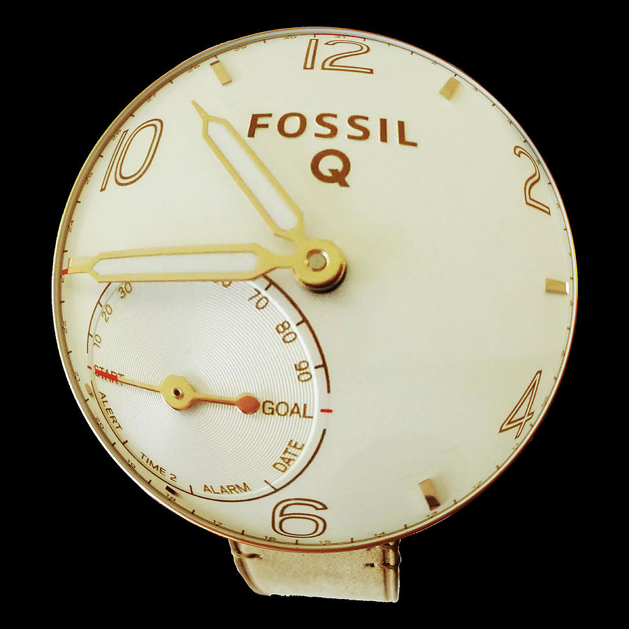 Fossil Q 7 Photograph by Bruce IORIO