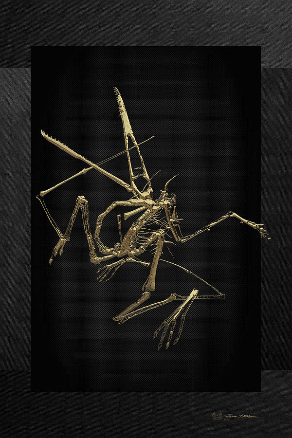Fossil Record - Gold Pterodactyl Fossil on Black Canvas #1 Digital Art by Serge Averbukh