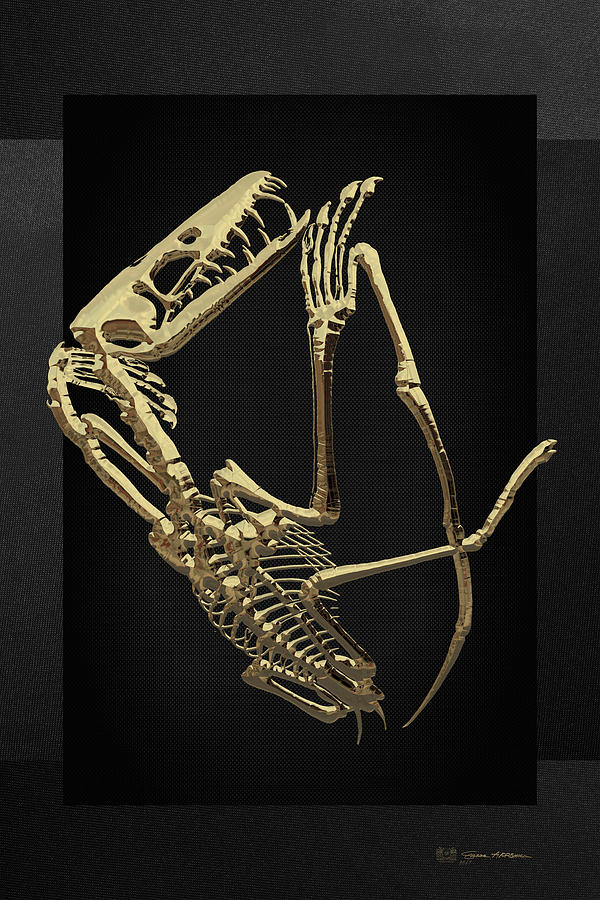 Fossil Record - Gold Pterodactyl Fossil on Black Canvas #3 Digital Art by Serge Averbukh